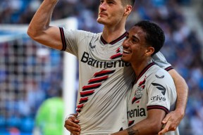 星空体育官网-德国杯今夜走向成谜，勒沃库森再遭质疑，媒体盛赞，临场指挥获称赞的简单介绍